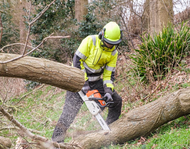 European Tree Worker (ETW)
